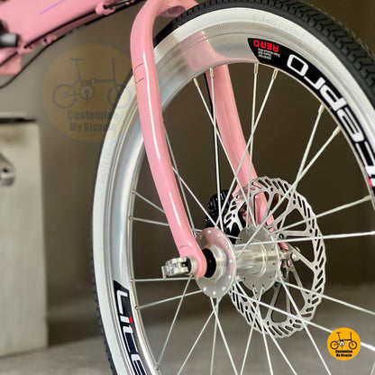 Close up of Litepro aero high profile front wheel
