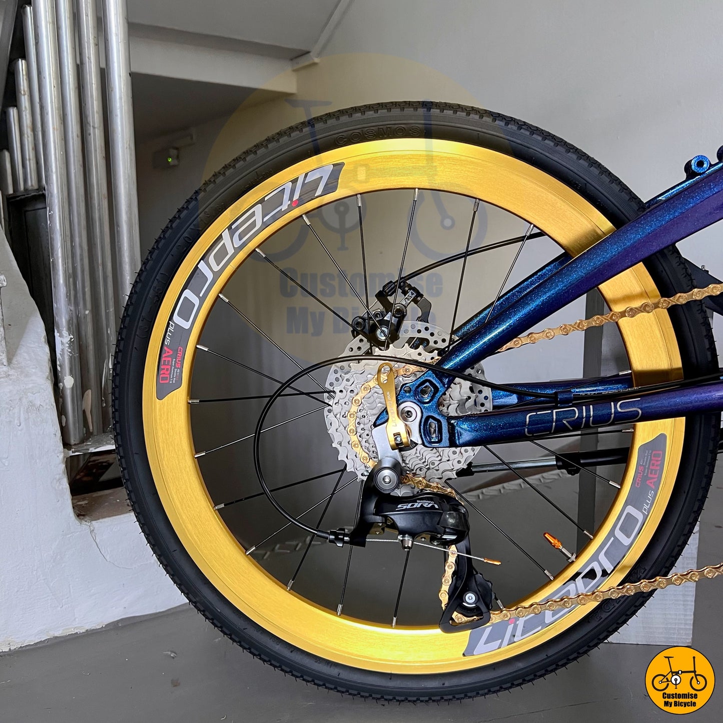 Custom Made Crius Velocity – Premium Foldie with Gold Wheels
