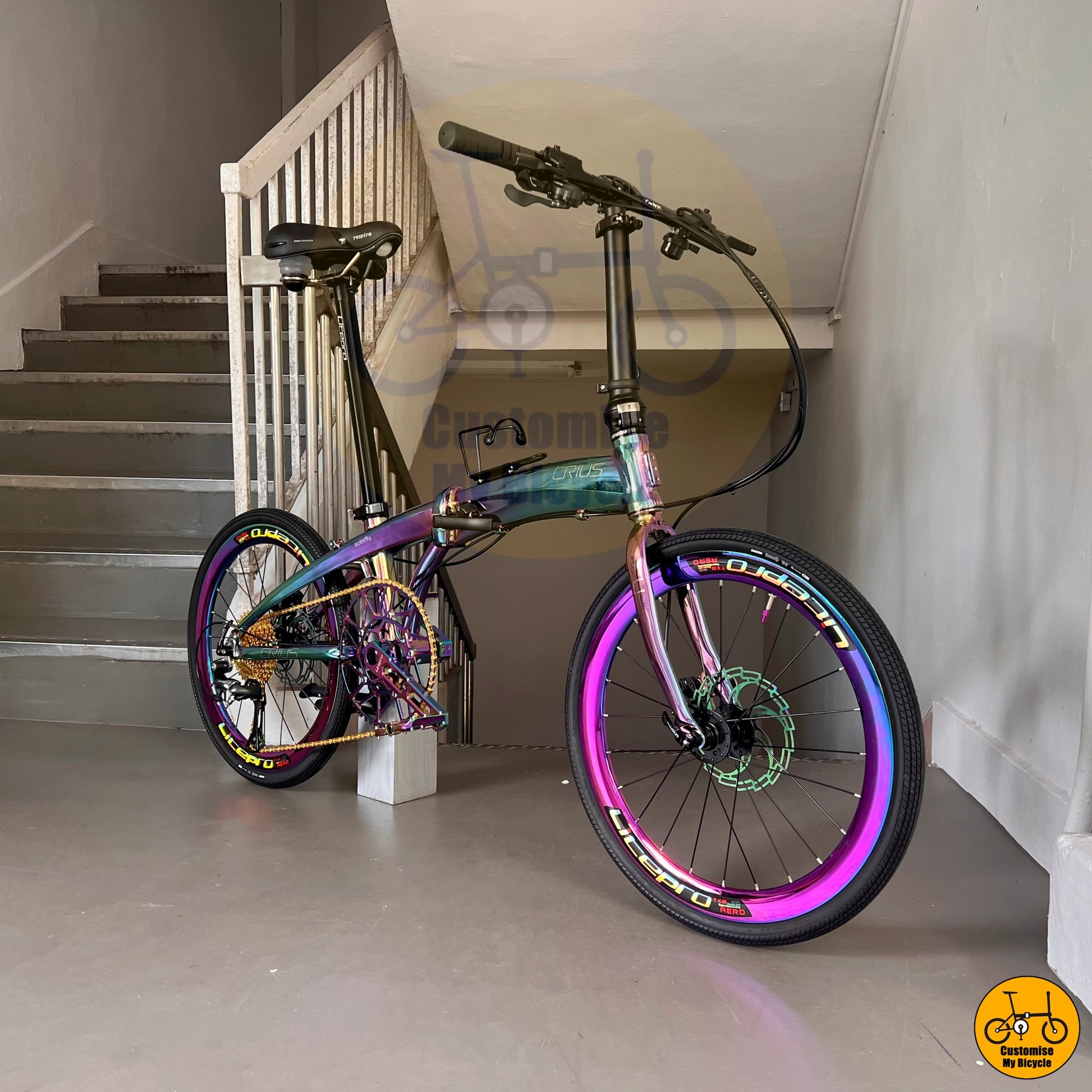 Crius Velocity 22-inch Foldable Bicycle – Lightweight Foldie with Rainbow Accents
