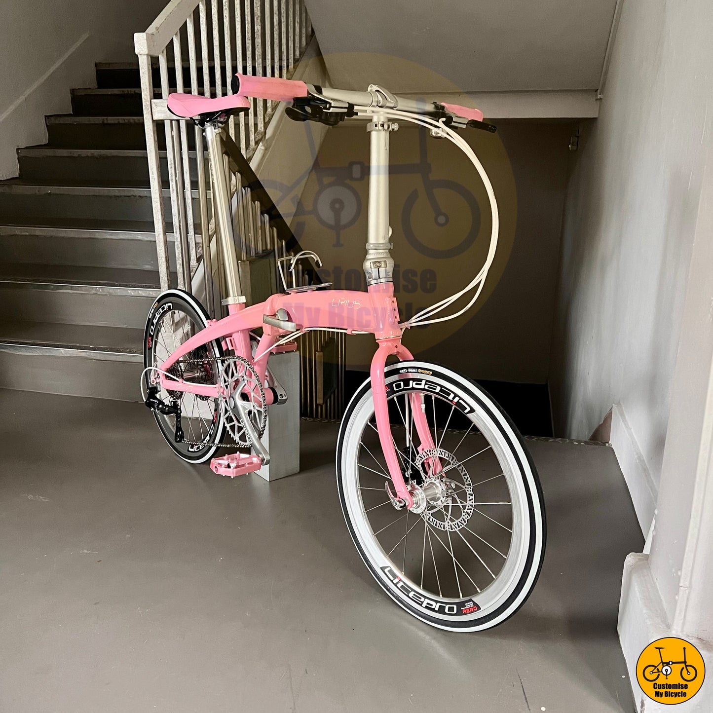 Crius Velocity 22-inch Lightweight Foldie – Cute Folding Bicycle for Women & Teens
