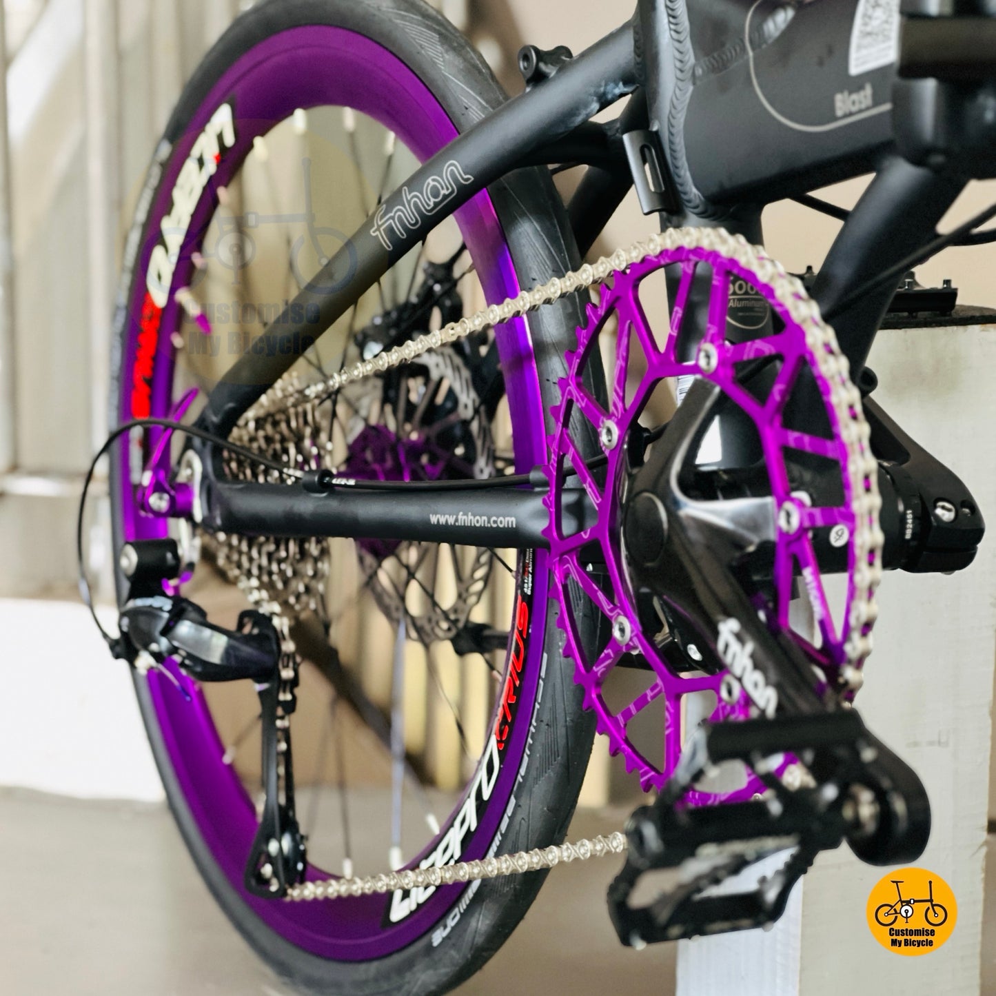 Fnhon Blast folding bike Litepro lightweight crankset close up folding bicycle drivetrain
