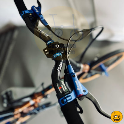 Fnhon Gust 18” • Shimano 10s • Rose Gold & Blue