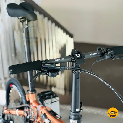 Fnhon Gust 18 Inch Folding Bike Rose Gold Shimano 9 Gears Chromoly Steel Frame Litepro Wheelset Compact Urban Folding Bicycle
