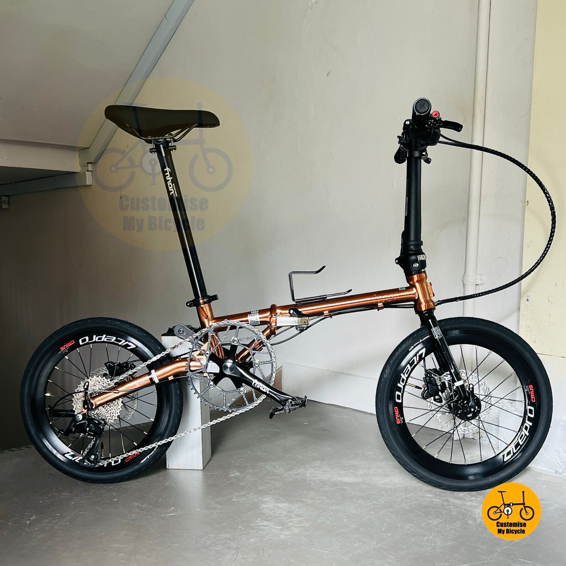 Basikal Lipat Fnhon Gust 18 Inci Rose Gold Shimano 9 Gear Roda Litepro Tayar CST Rangka Keluli Chromoly Basikal Lipat Kompak
