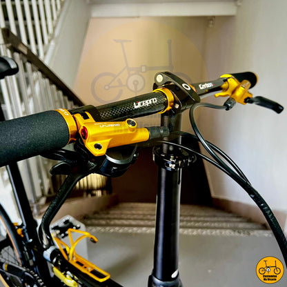 Glossy black Litepro carbon handle bar on Lightweight Fnhon Gust 22-inch with city-friendly features and adjustable components
