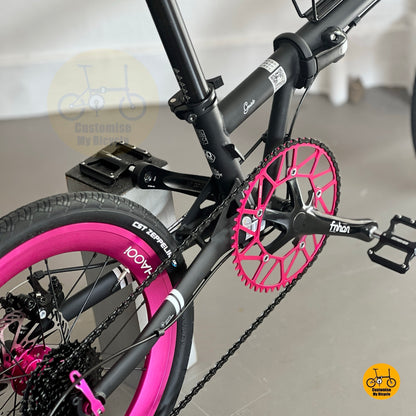 Detail shot of Litepro crank arm and chainring on Fnhon Gust 20-inch
