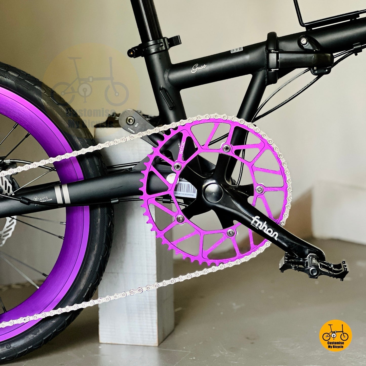 Close up of FNHON Hollowtech crankset on Fnhon Gust foldable bicycle