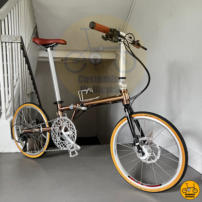 Fnhon Gust 20-inch Foldable Bicycle – Premium Clean Look & Lightweight Frame
