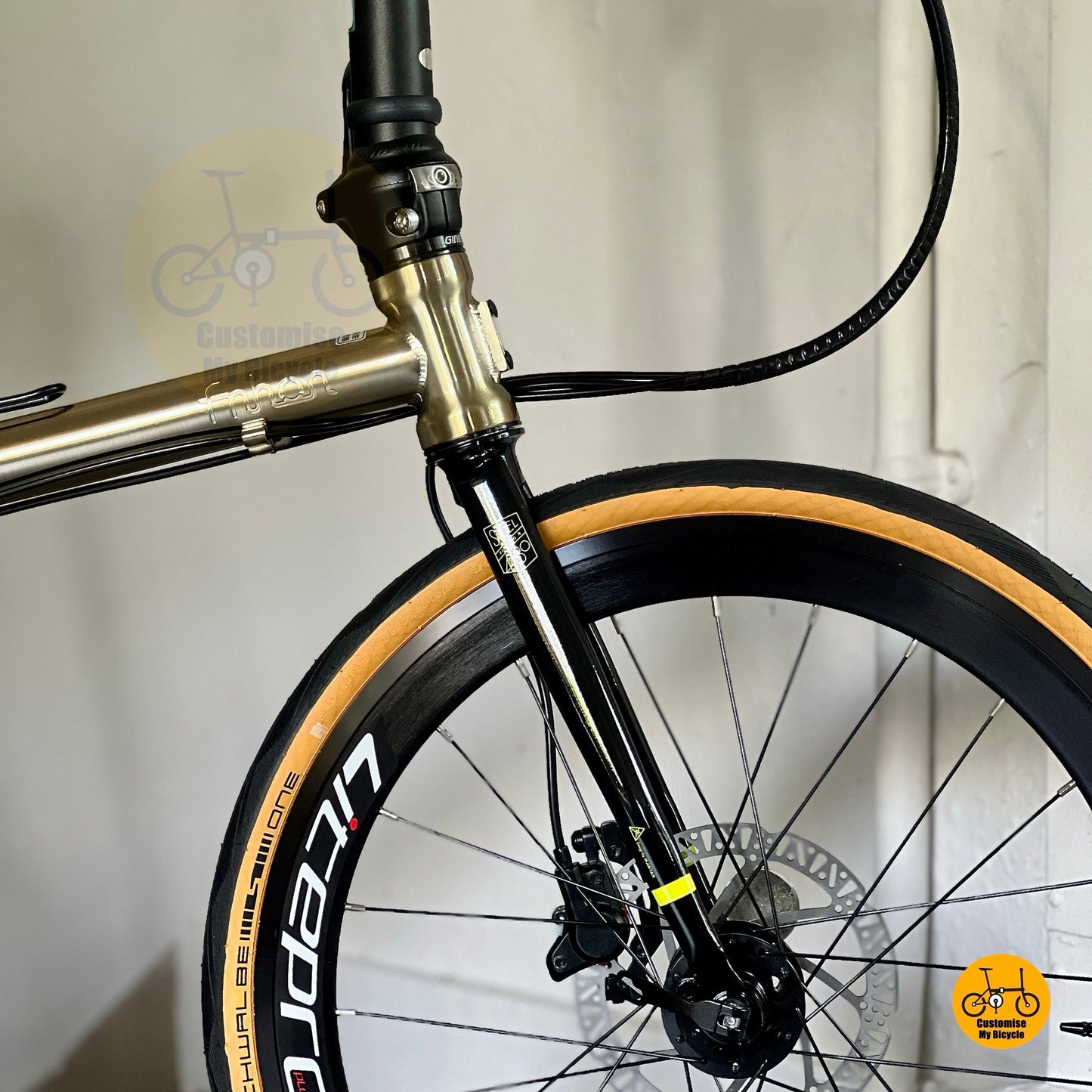Front wheel and disc brake close-up of Fnhon Gust titanium gold, displaying Litepro rim detail and rotor design.
