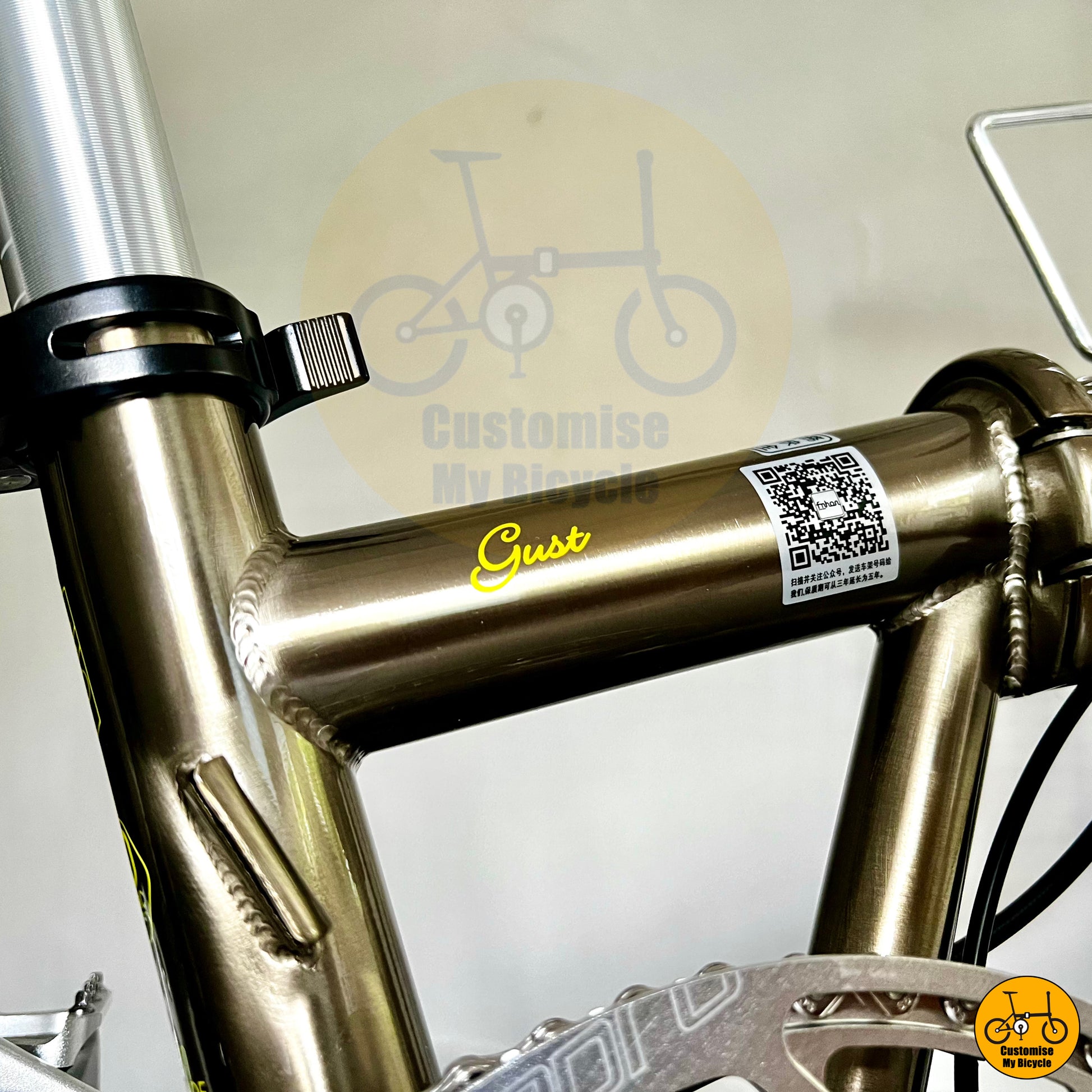 Fnhon Gust folding bicycle with a premium drivetrain and disc braking system
