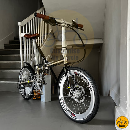 Fnhon Gust 20-inch compact bike with powerful disc brakes
