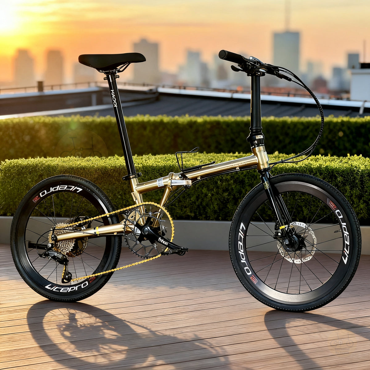 Fnhon Gust 22" Titanium Gold lightweight folding bike with Shimano 9 gears