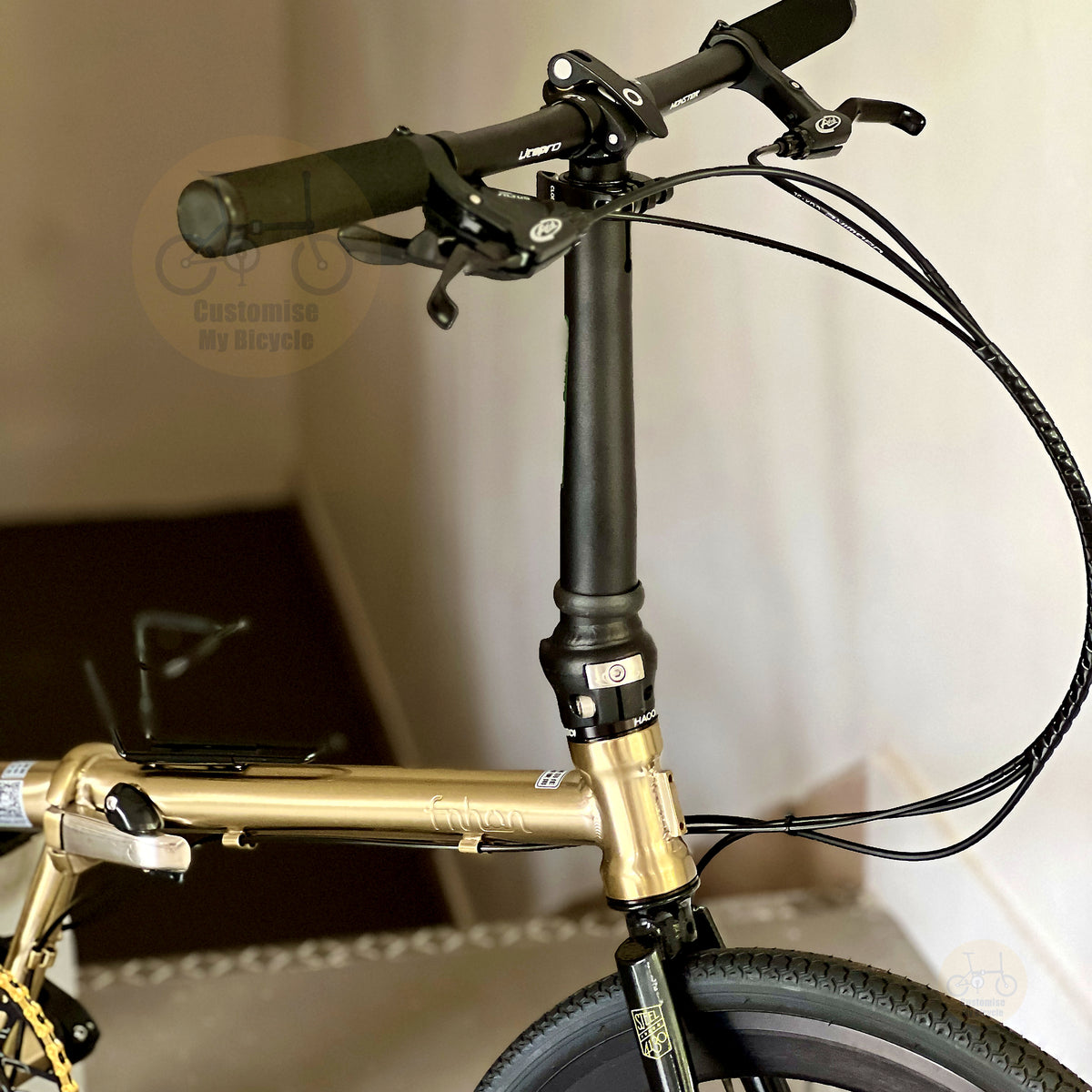 Fnhon Gust 22" Titanium Gold folding bike frame material colour detail