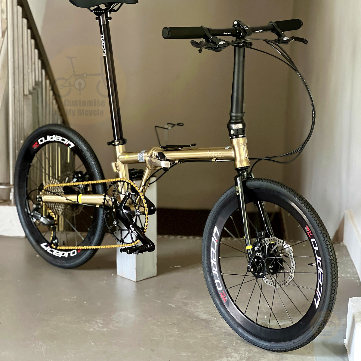 Fnhon Gust 22" Titanium Gold foldable bicycle with Shimano 9 gears