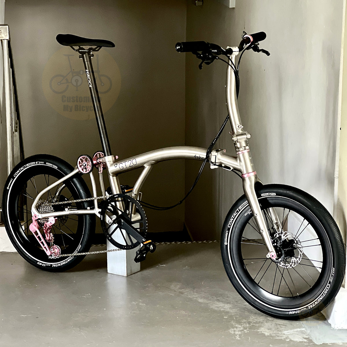 Fnhon GT20 20" Metallic Titanium foldable bicycle with Dedicated 10 Gears