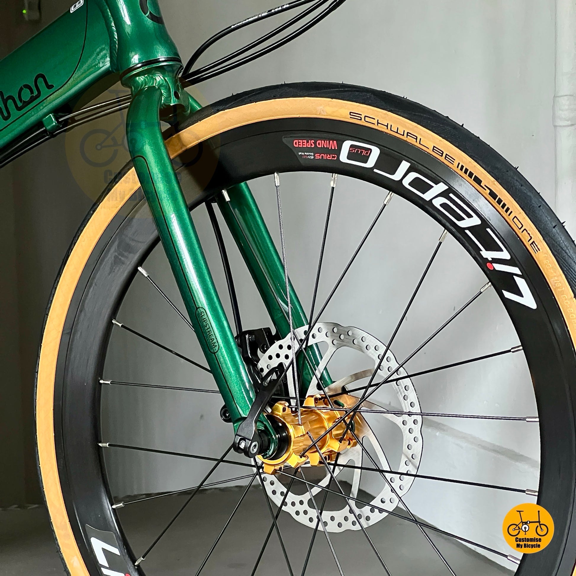 Fnhon Monsoon 22in foldie with Schwalbe tyres
