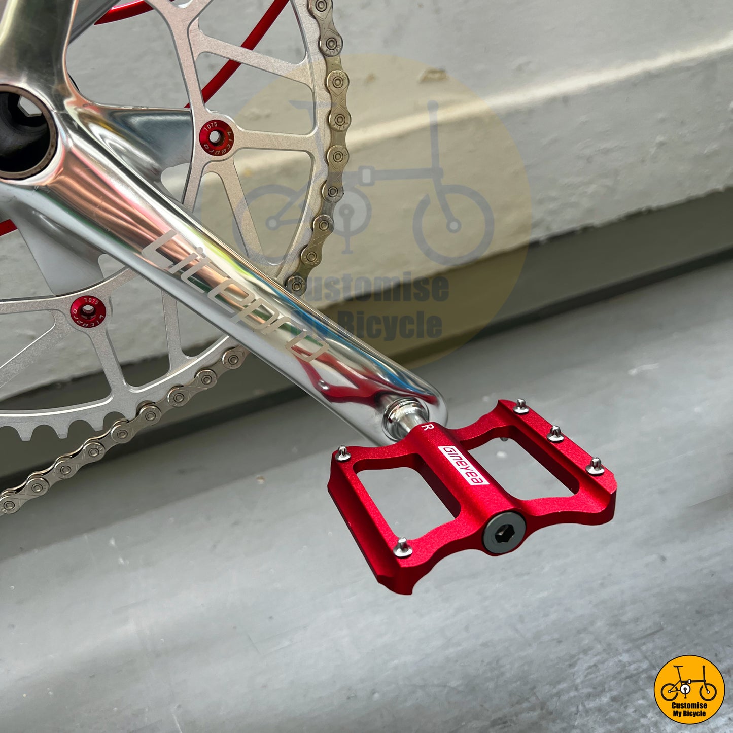 Platinum Silver Edition Fnhon Monsoon 22-Inch Folding Bike – A Bold & Functional Choice
