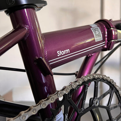 Fnhon Storm 22” • Shimano 9s • Royale Purple