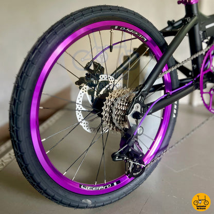 Reliable Litepro foldie with disc brakes and 1x drivetrain
