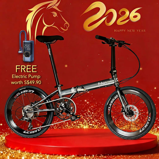 🔥CNY Promo🔥 Fnhon Storm 22” • Shimano 9s • Dolphin Grey