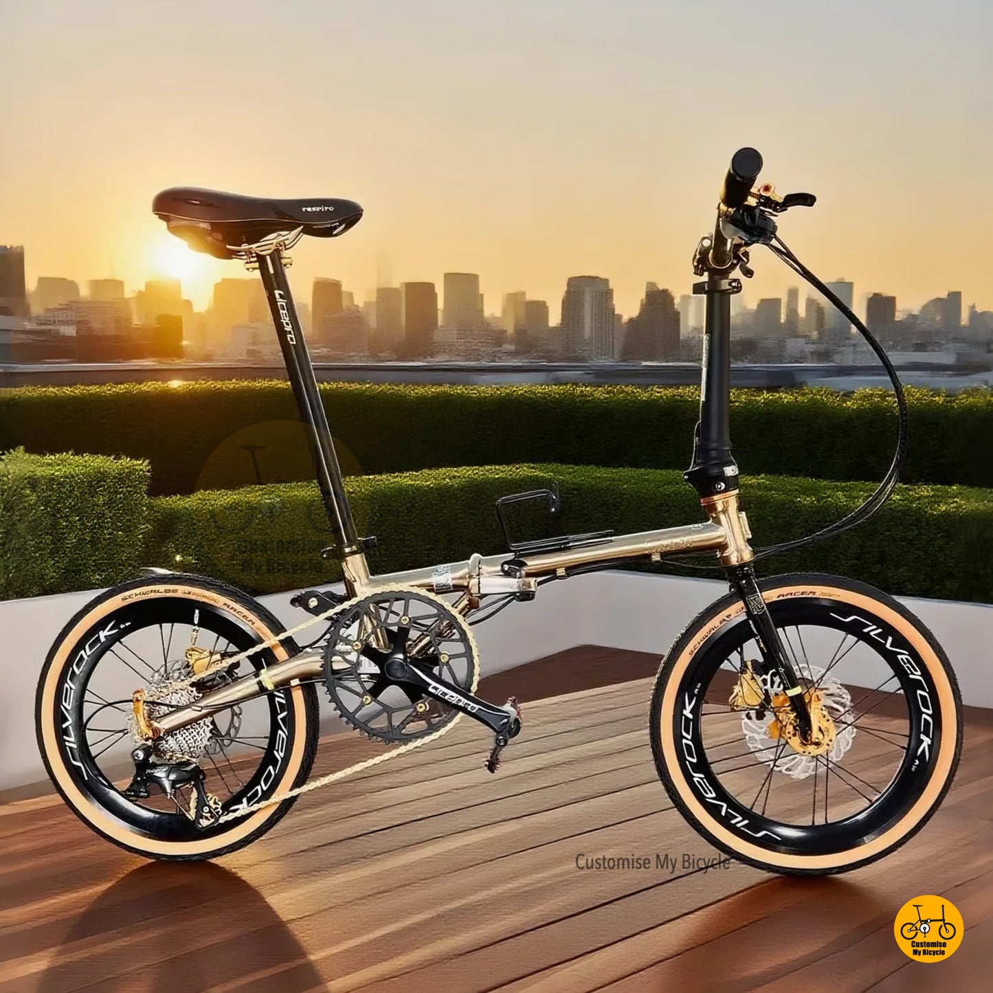 A titanium gold Fnhon Gust folding bicycle with Shimano 10-speed gears, displayed in an outdoor setting with blurred lights in the background.
