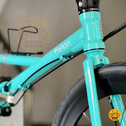 Fnhon Thunderstorm folding bike high front angle overall bianchi green foldable bicycle